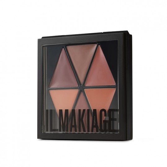 COLOR MASTER LIP PALETTE